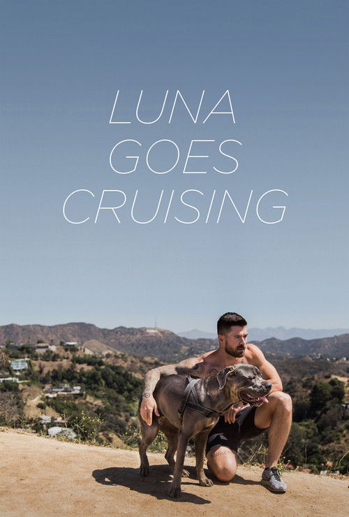 Luna Goes Cruising (2015) poster
