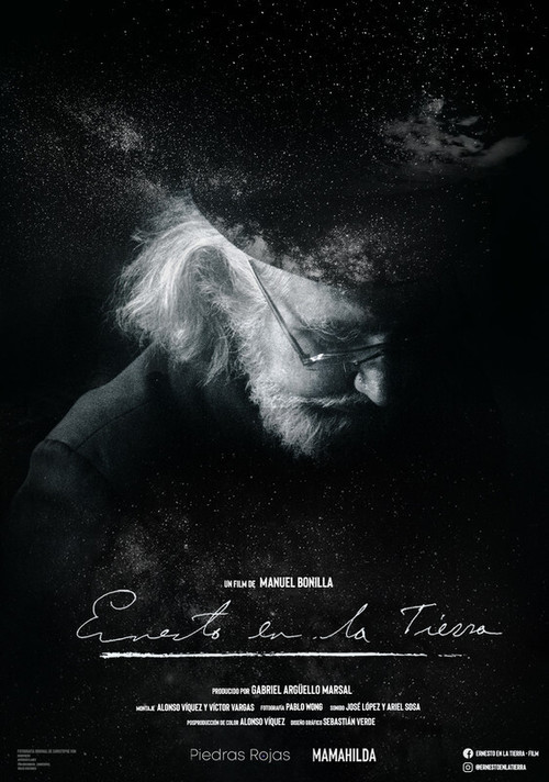 Ernesto on Earth (2020) poster