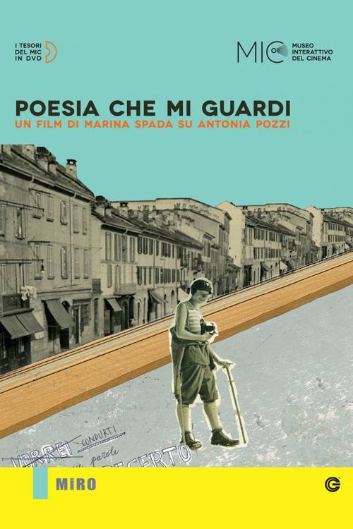 Poesia che mi guardi (2009) poster