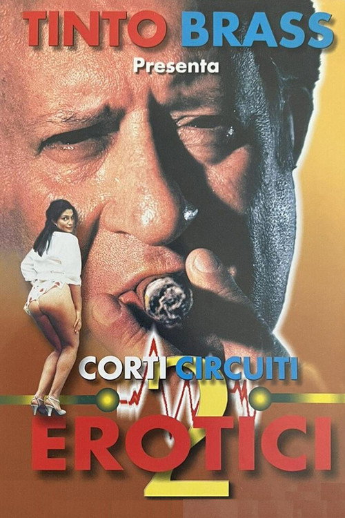 Erotik Kısa Öyküler Cilt 2 (1998) poster