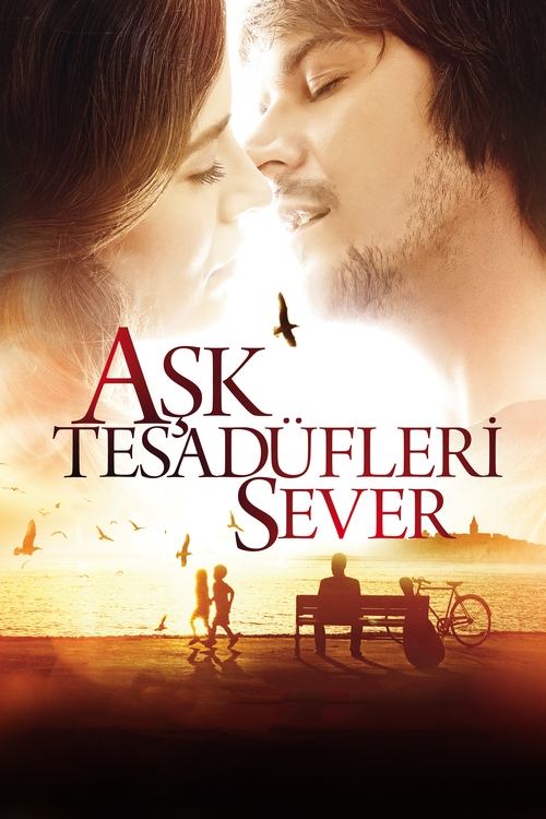 Aşk Tesadüfleri Sever (2011) poster