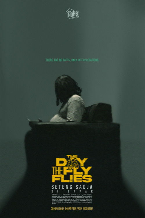 The Day The Fly Flies (2024) poster