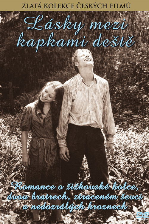 Lásky mezi kapkami deště (1980) poster