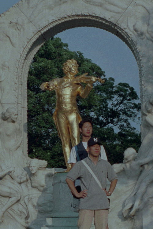 50/96 Snapshots (For Bruce) (1996) poster