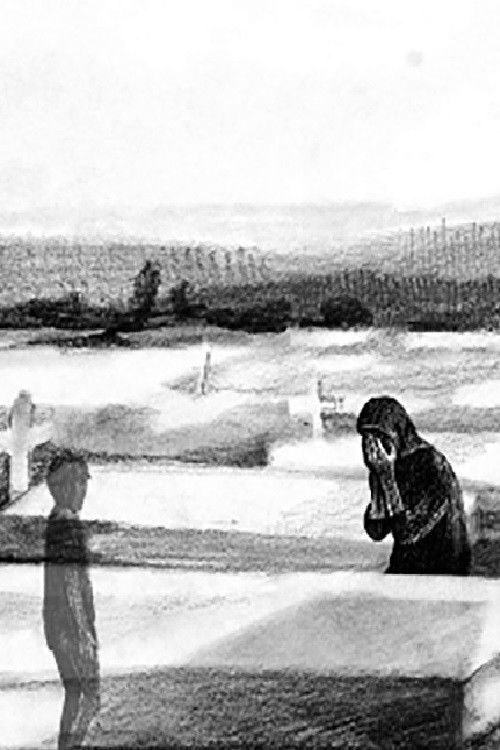 Round Trip (2013) poster