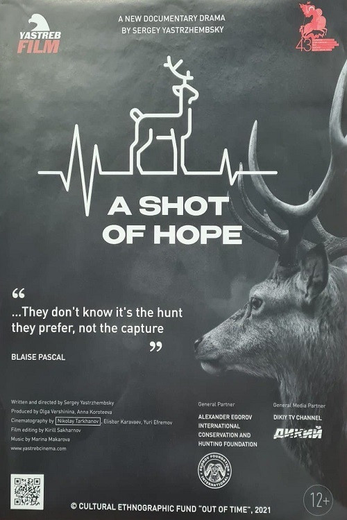 A Shot of Hope (2021) poster