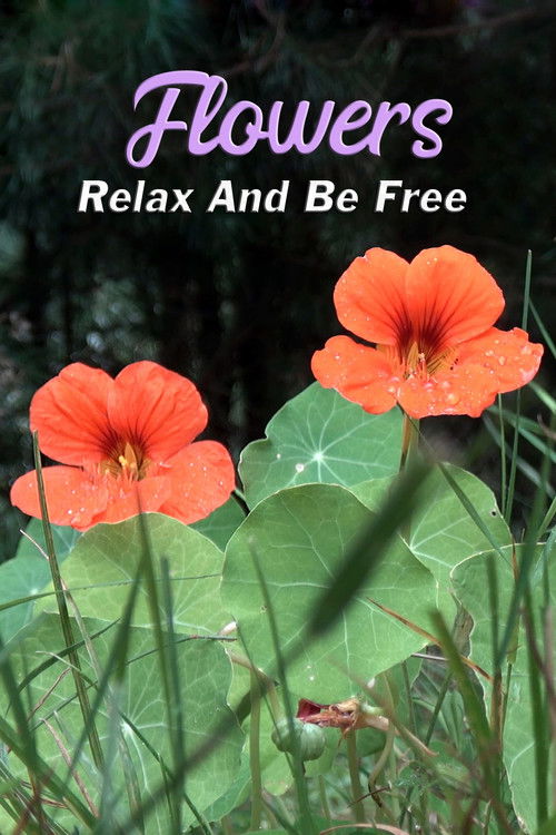 Flowers: Relax and Be Free (2014) poster