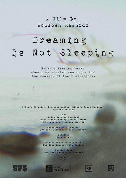 Dreaming Is Not Sleeping (2025) poster