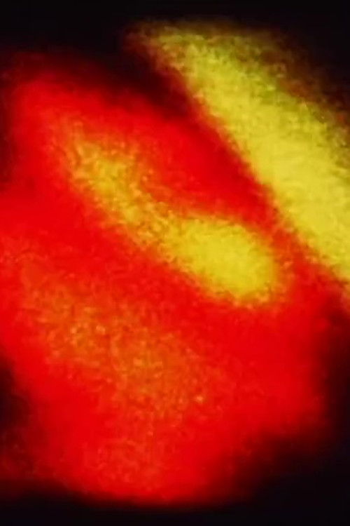 FM/TRCS (1974) poster