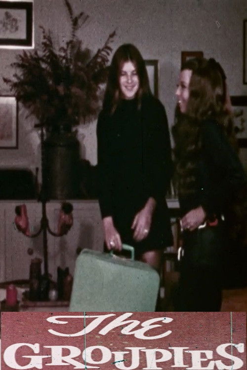 The Groupies (1971) poster