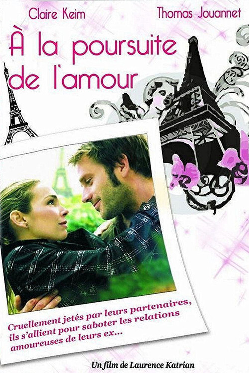 À la poursuite de l'amour (2009) poster
