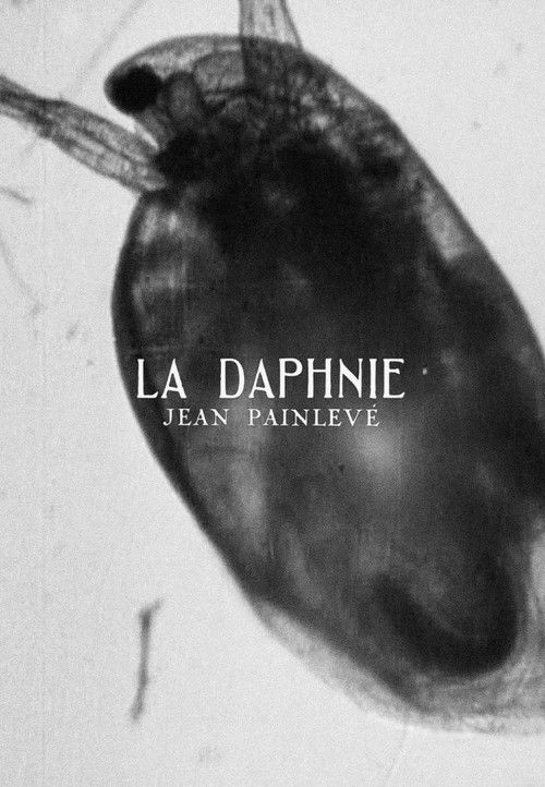 Daphnia (1928) poster