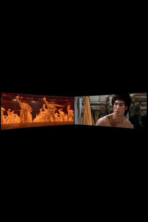 Enter the Dragon 1973-2008 (2010) poster