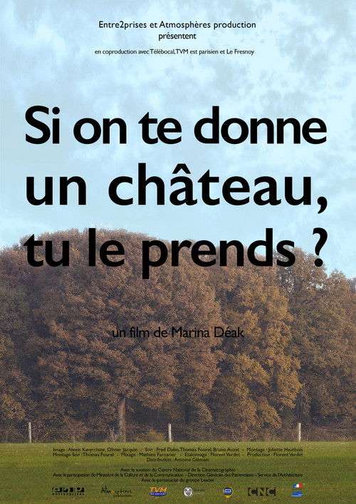 Si on te donne un château, tu le prends? (2016) poster