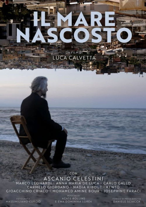 Il mare nascosto (2024) poster