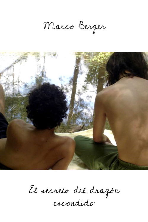 The secret of the hidden dragon (2009) poster