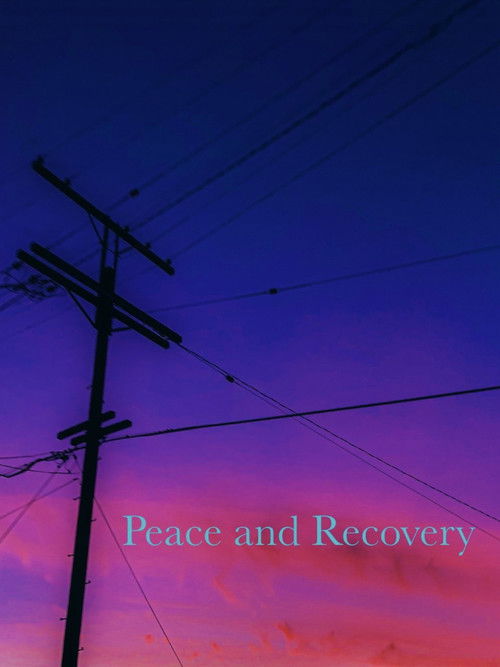 Peace and Recovery (2019) poster