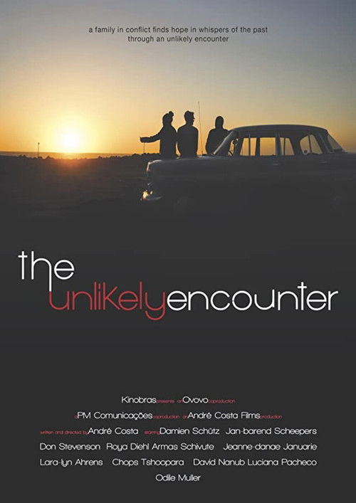The Unlikely Encounter (2020) poster