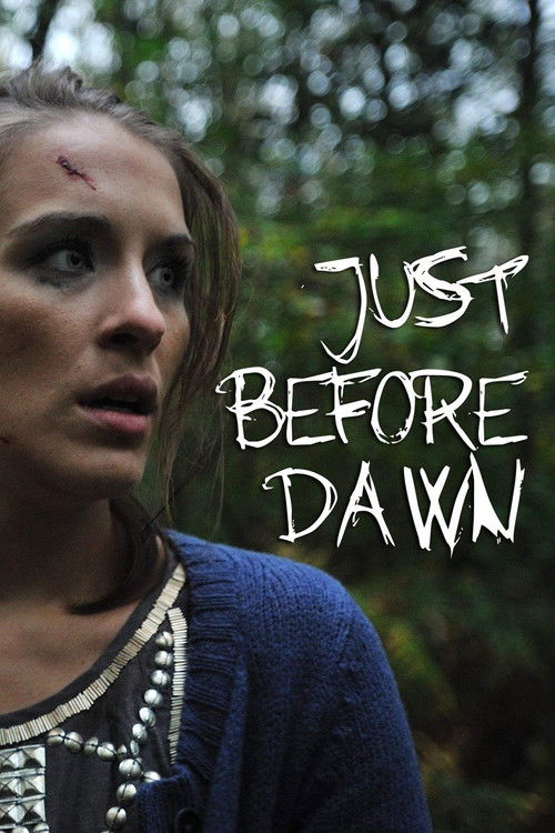 Just Before Dawn (2010) poster