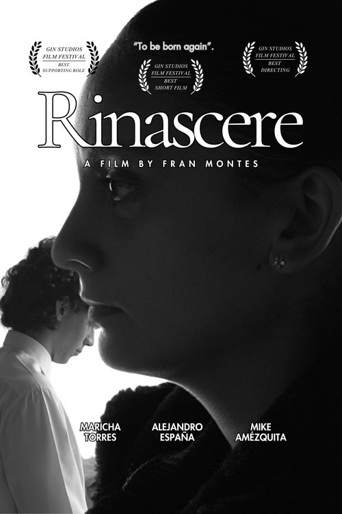 Rinascere (2024) poster