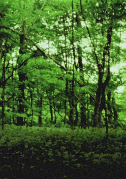 Fish Point (2015) poster