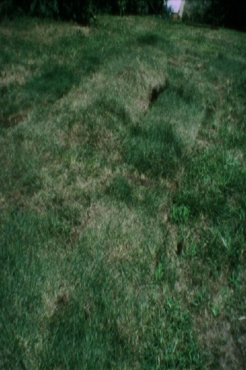 Grass Breathing (1974) poster