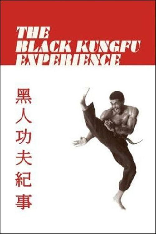 The Black Kung Fu Experience (2012) poster