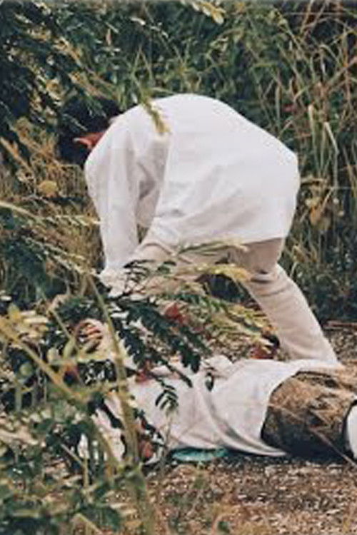 Langkah (2015) poster