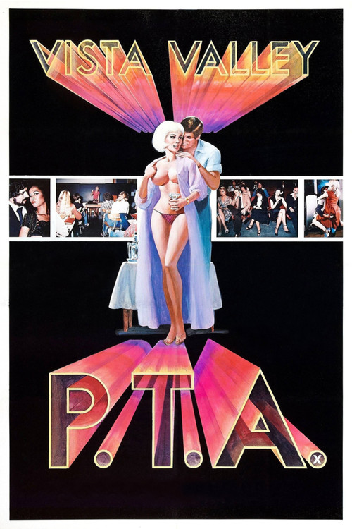 Vista Valley PTA (1981) poster