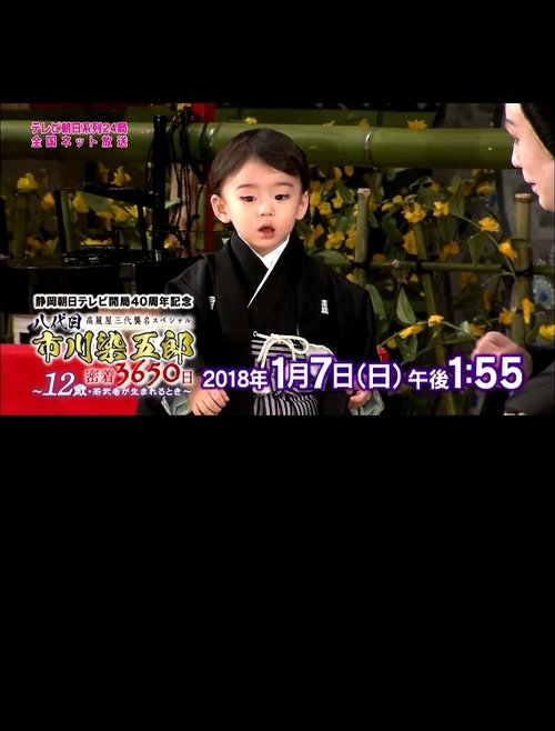 八代目市川染五郎 密着3650日～12歳・若武者が生まれるとき～ (2018) poster