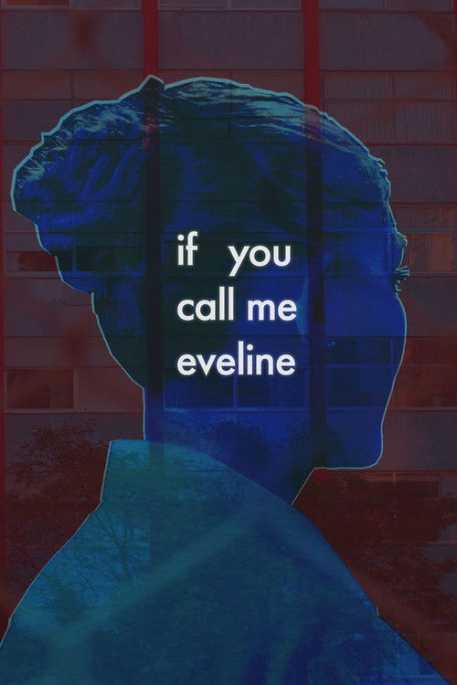 Não Sei Bem Se Meu Nome É Eveline (2024) poster