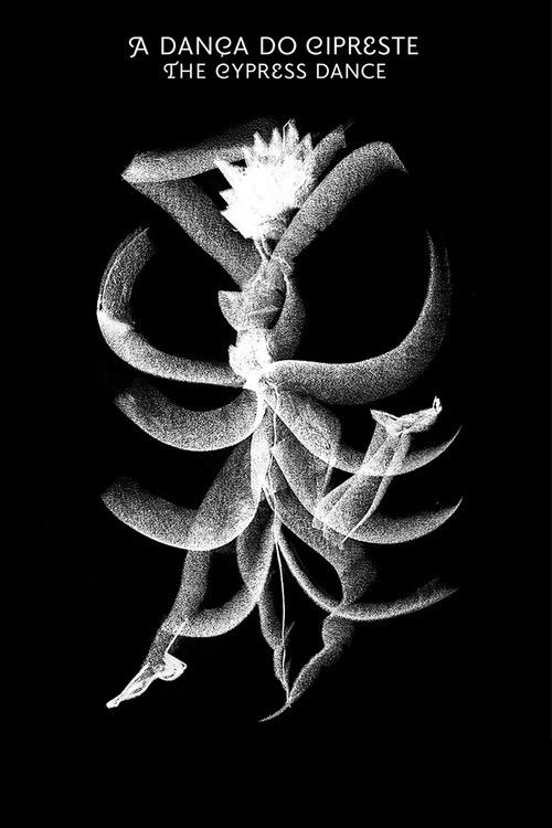 The Cypress Dance (2020) poster