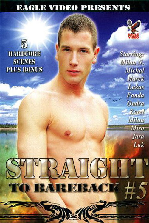 Straight to Bareback 5 (2007) poster
