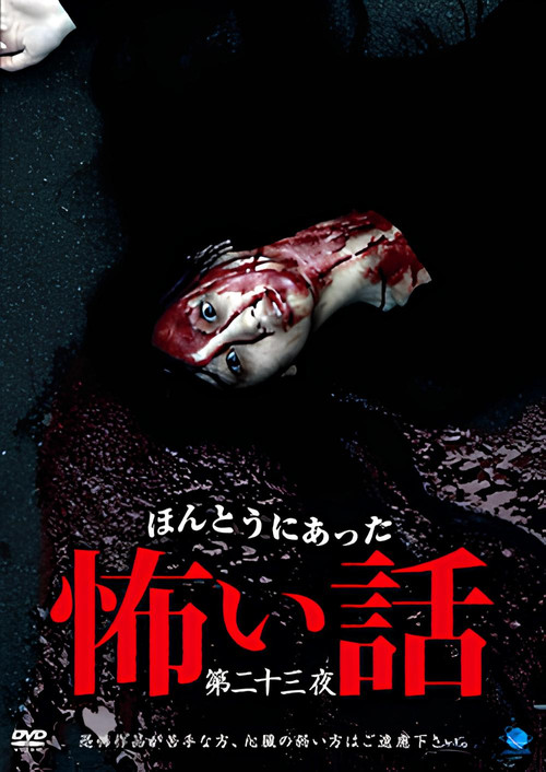 Scary True Stories: Night 23 (2012) poster