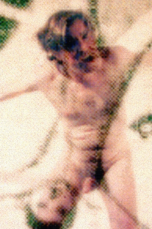 Newton and Me (1991) poster