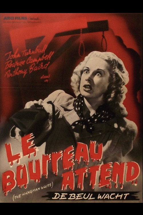 The Hangman Waits (1947) poster