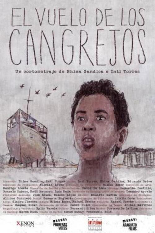 El Vuelo de los Cangrejos (2016) poster