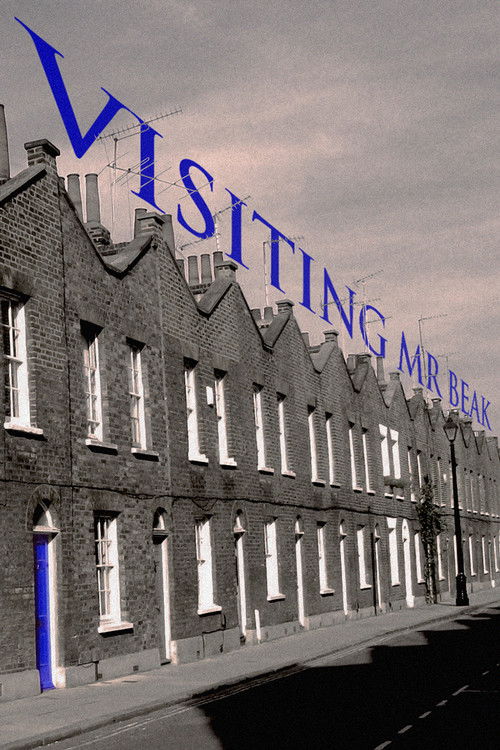 Visiting Mr Beak (1987) poster