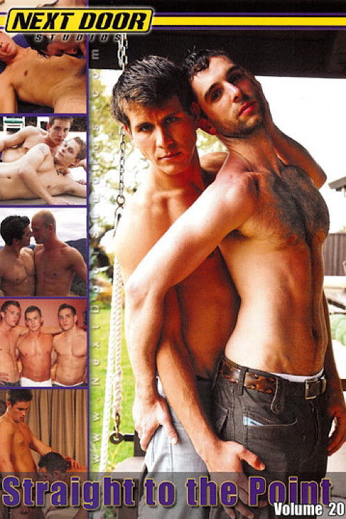 Straight to the Point Volume 20 (2010) poster