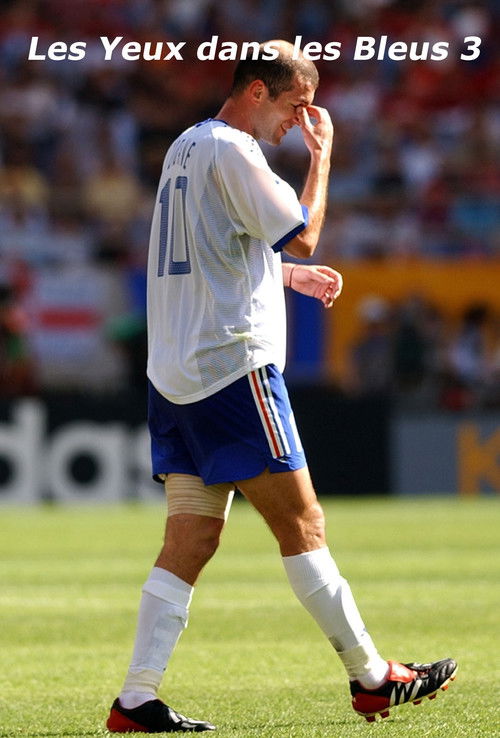 Les Yeux dans les Bleus 3 : La Désillusion (2002) poster