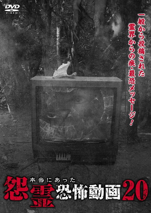 Real Vengeful Ghost Horror Video 20 (2017) poster