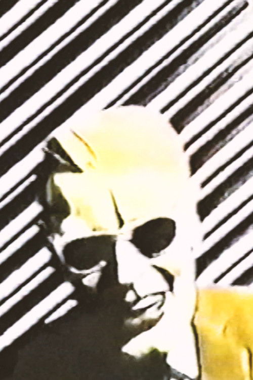 The Max Headroom Pirate Incidents (2025) poster