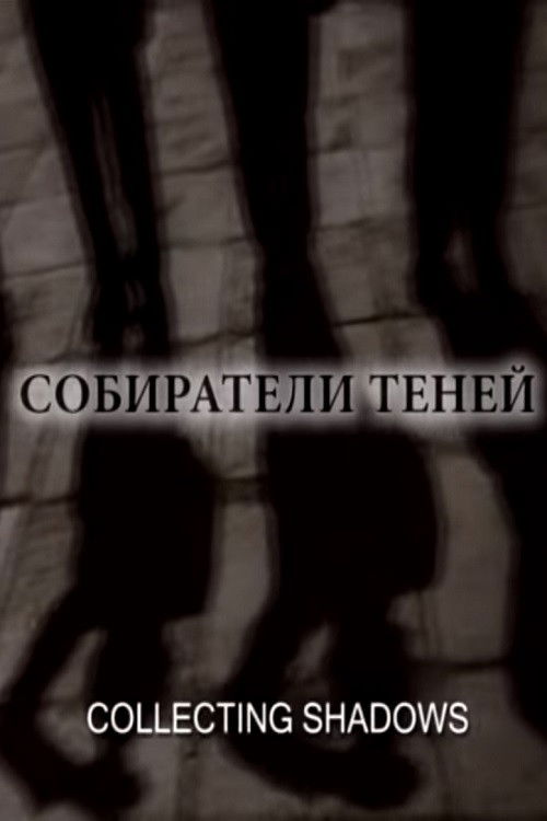 Collecting Shadows (2006) poster