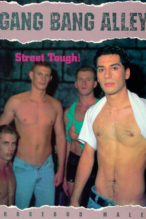 Gang Bang Alley (1992) poster