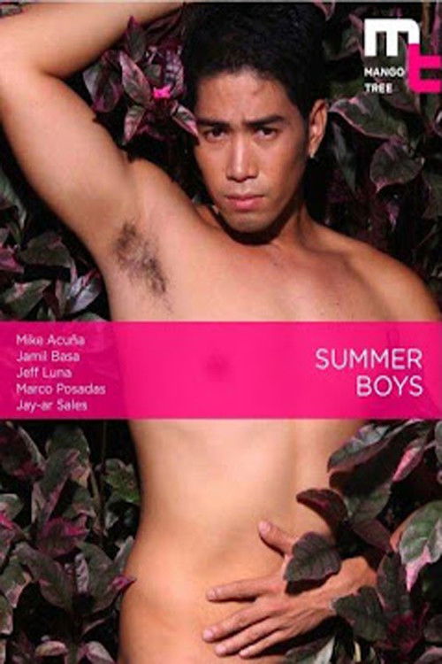 Summer Boys (2009) poster