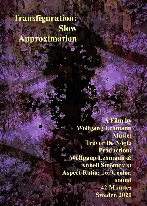Transfiguration: Slow Approximation (2022) poster