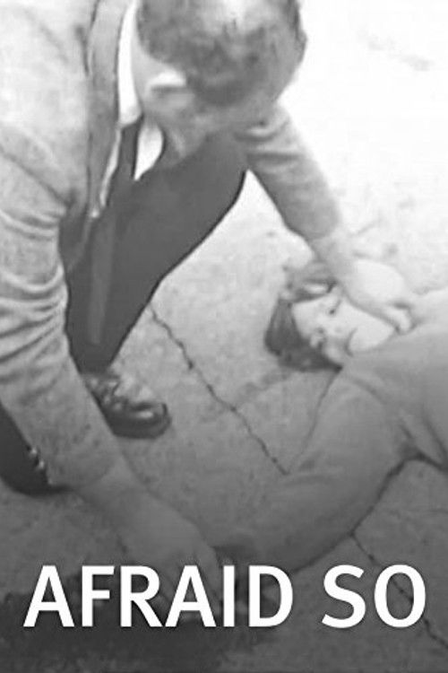 Afraid So (2006) poster