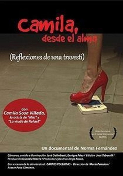 Camila, desde el alma (2010) poster