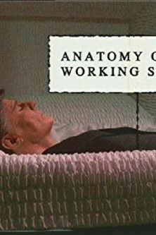 Anatomy of a Working Stiff (2004) poster