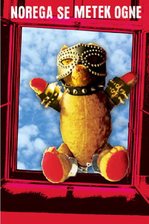 Bullets Miss the Fool (2004) poster